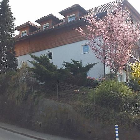 לינץ Mayerhofer House מראה חיצוני תמונה