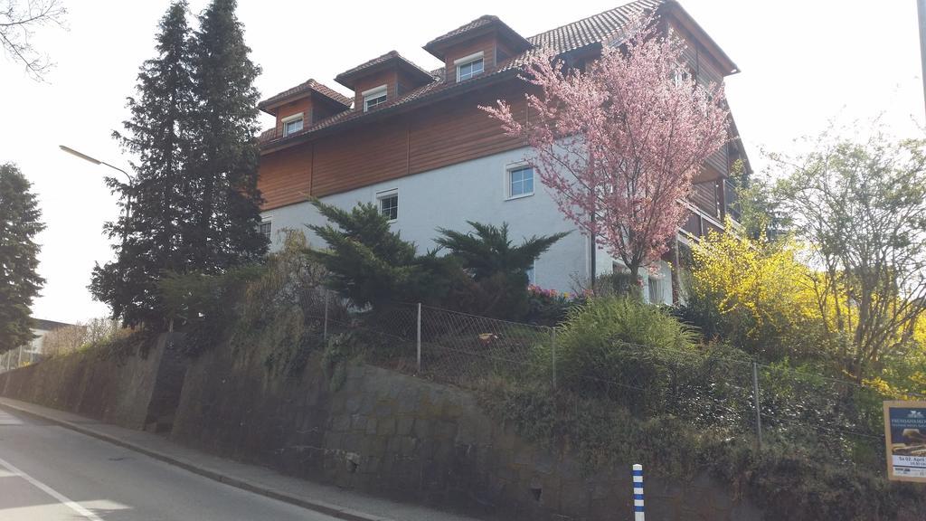 לינץ Mayerhofer House מראה חיצוני תמונה